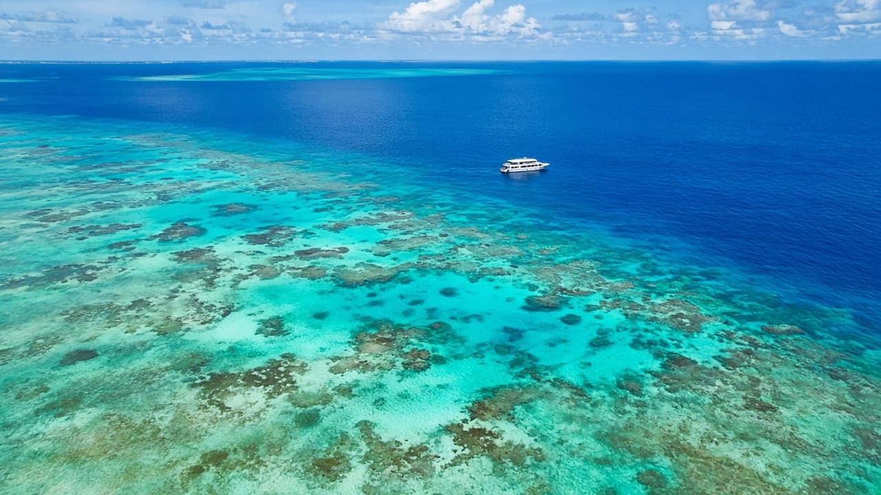 Reef lagoon from the air